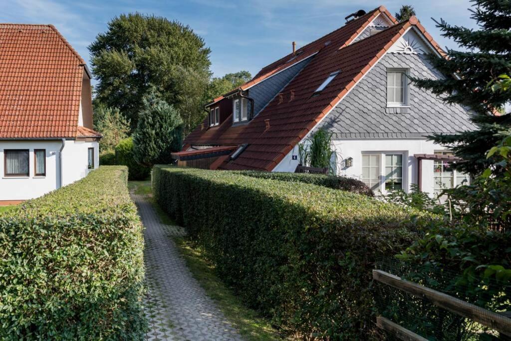 Weide - Gemutliches Ferienhaus Am Anger In Kloster, Insel Hiddensee Bagian luar foto